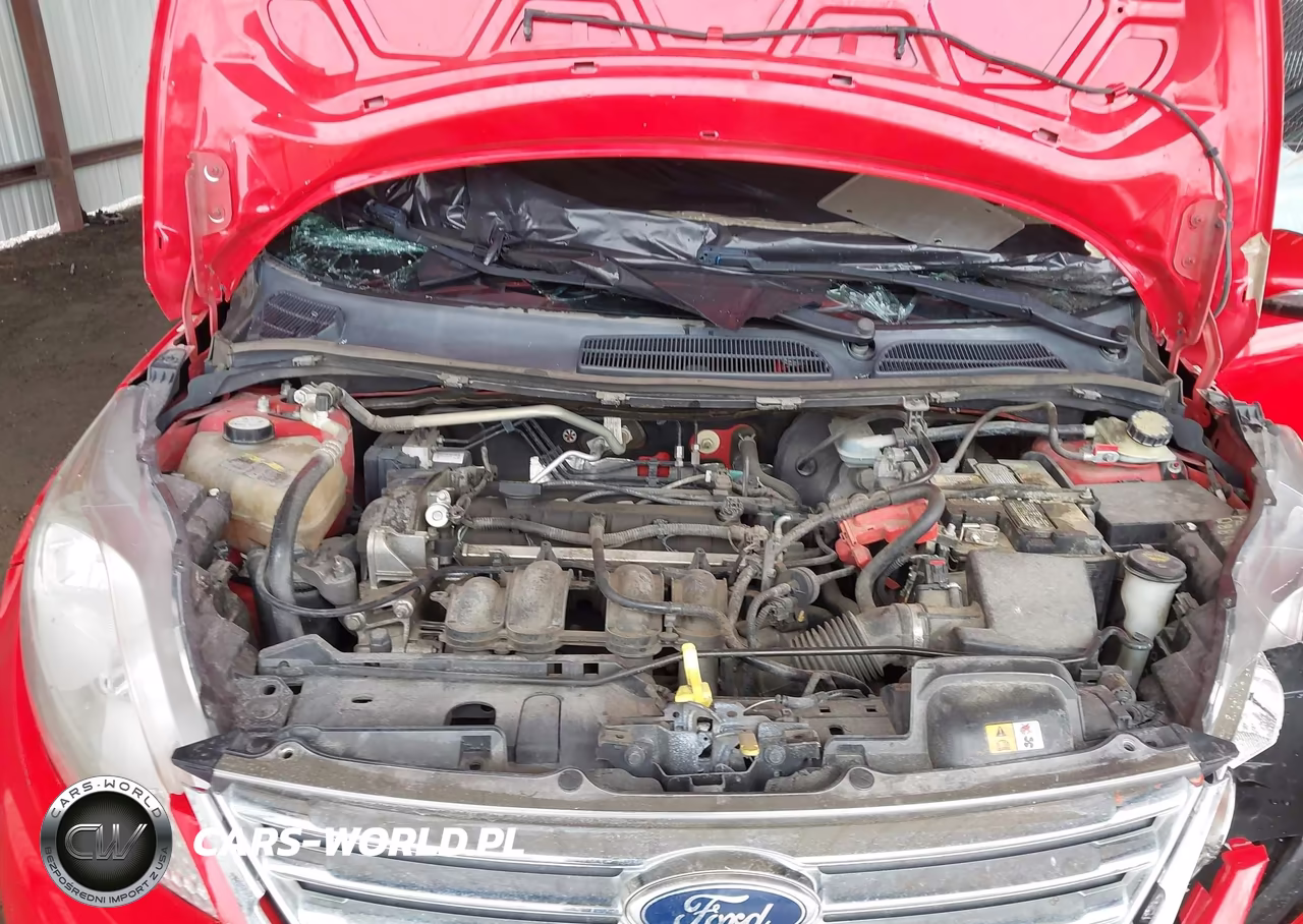 2013 Ford Fiesta Se VIN:3FADP4BJ1DM194217 - 10