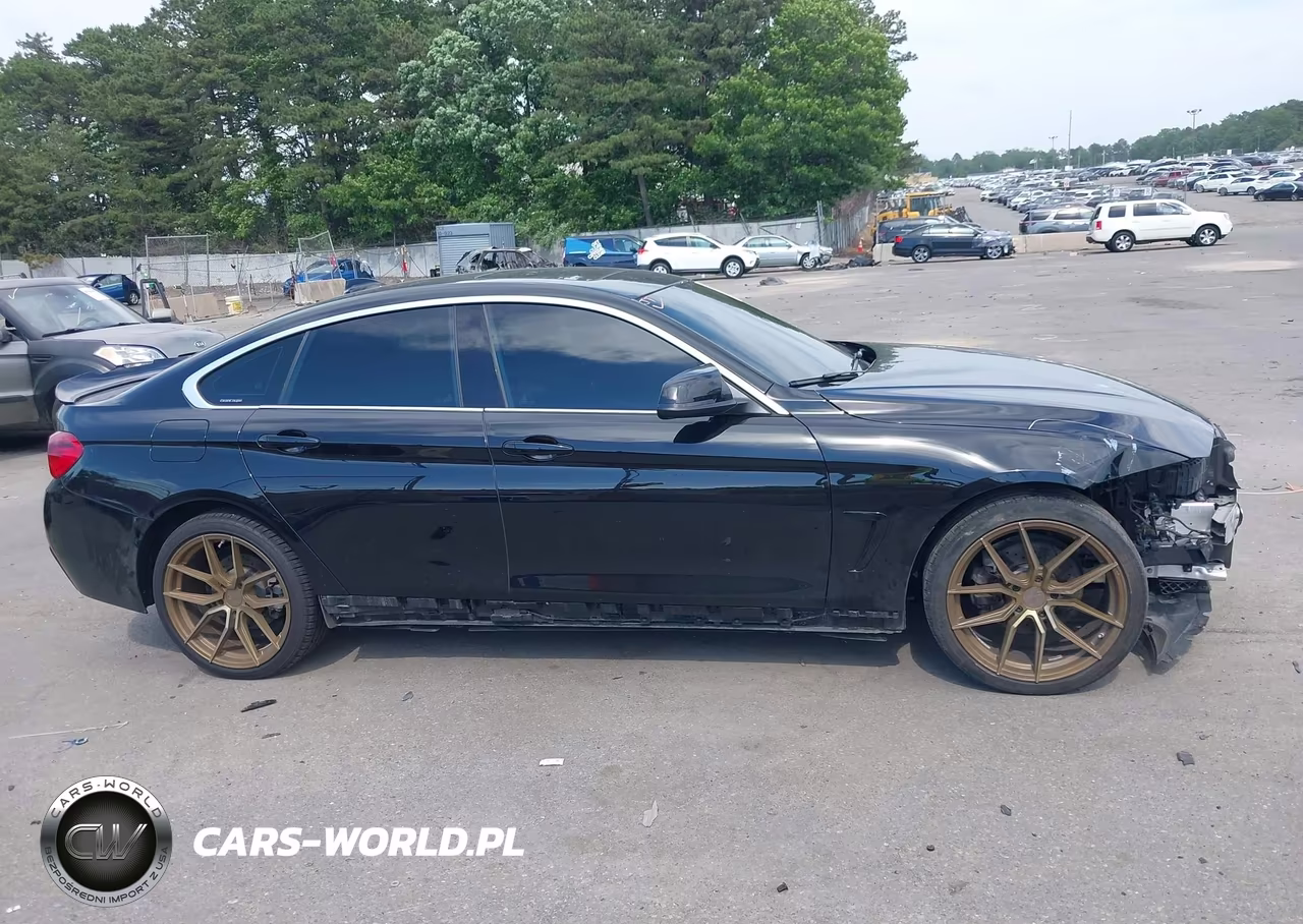 2019 BMW 430I Gran Coupe xDrive VIN:WBA4J3C58KBL09498 - 14