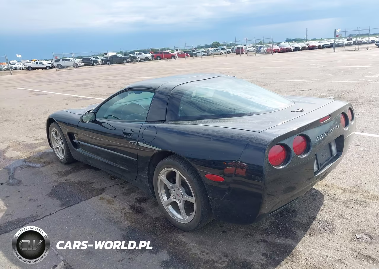 2001 Chevrolet Corvette VIN:1G1YY22G115110361 - 3