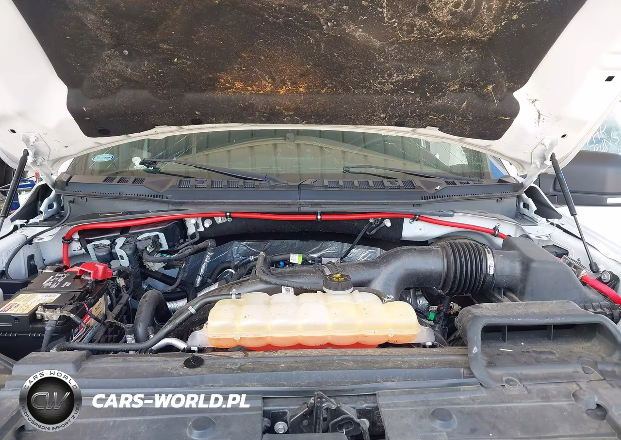 2019 Ford F-150 Xlt VIN:1FTEW1CP9KKC20666 - 10