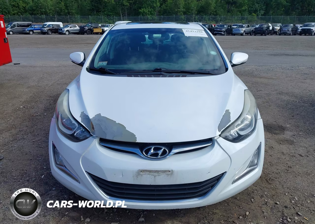 2016 Hyundai Elantra Value Edition VIN:5NPDH4AE2GH775005 - 13