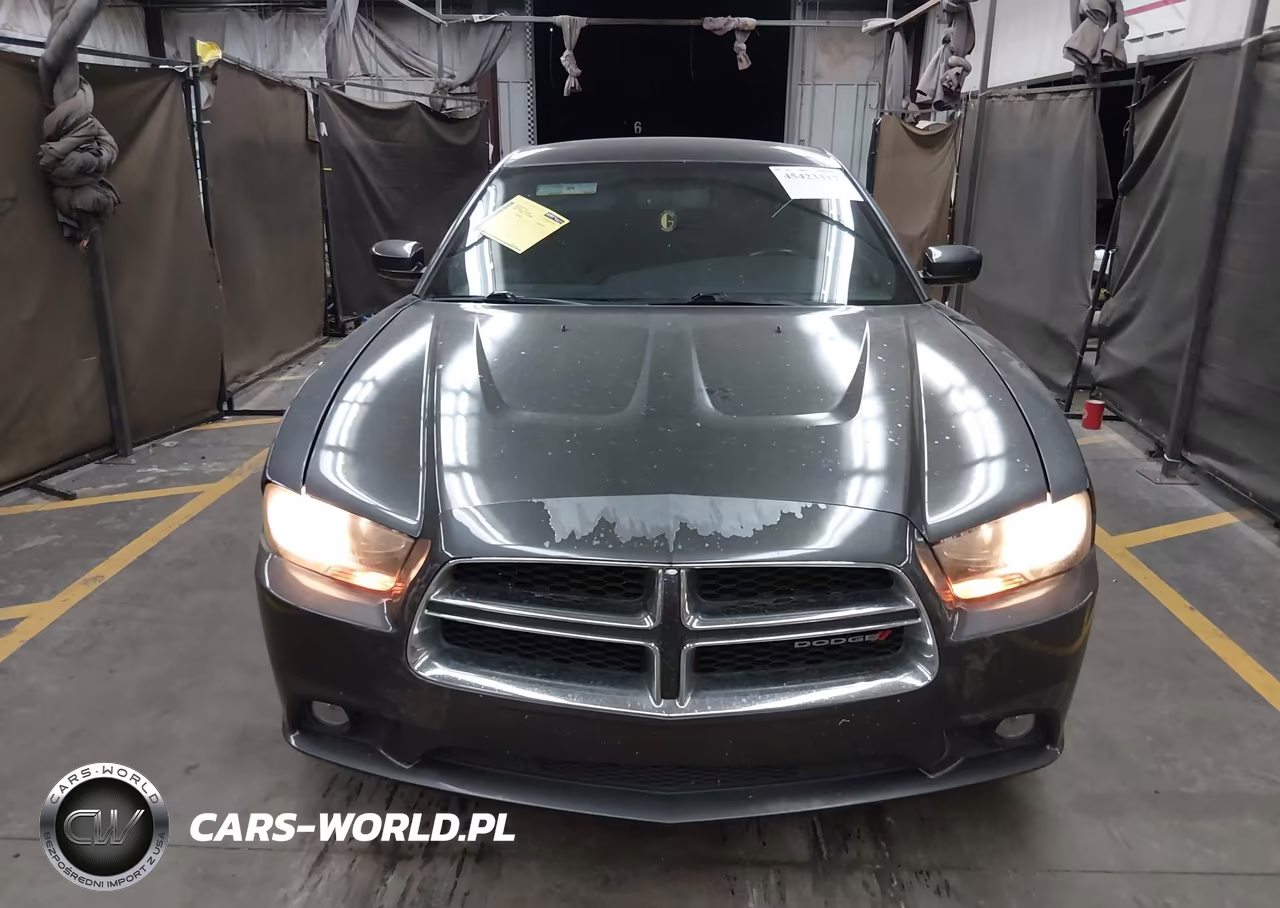 2014 Dodge Charger Sxt VIN:2C3CDXHG7EH154532 - 12