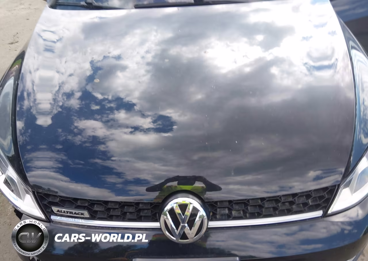 2017 Volkswagen Golf Alltrack Tsi S-Tsi Se-Tsi Sel VIN:3VWH17AU8HM532077 - 10