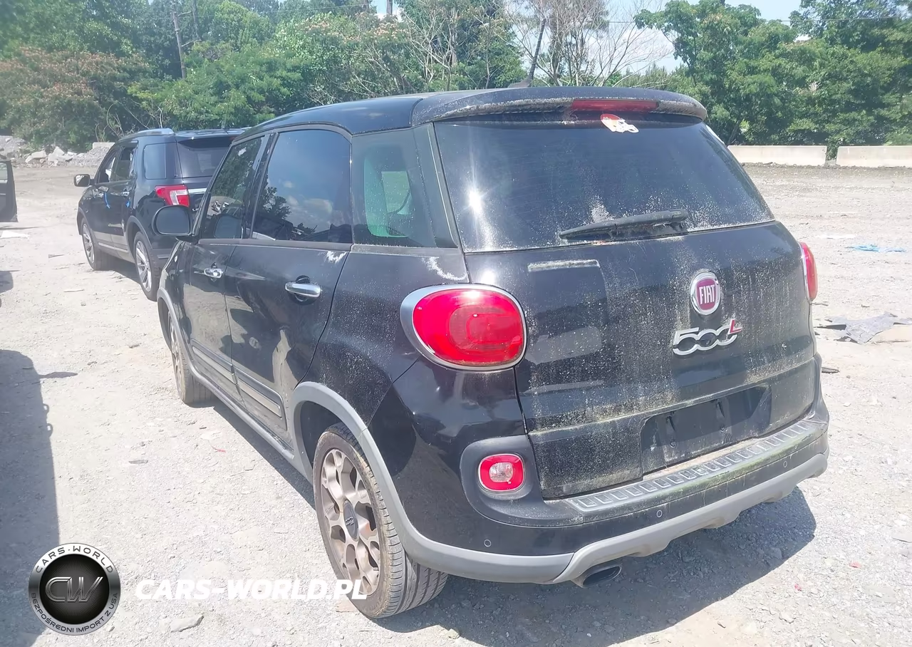 2014 Fiat 500L Trekking VIN:ZFBCFADH9EZ009710 - 3