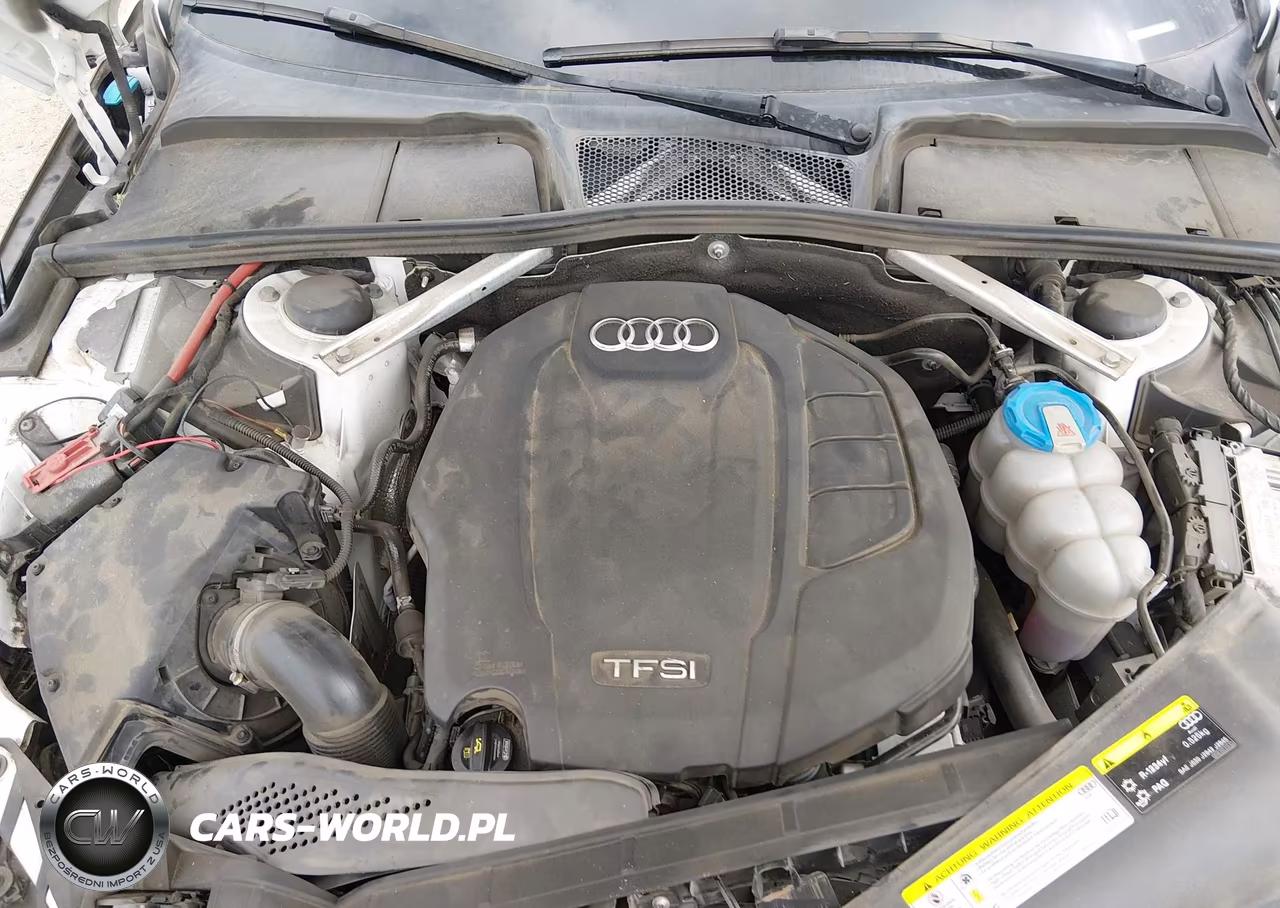 2019 Audi A4 40 Premium VIN:WAUGMAF41KN004211 - 10