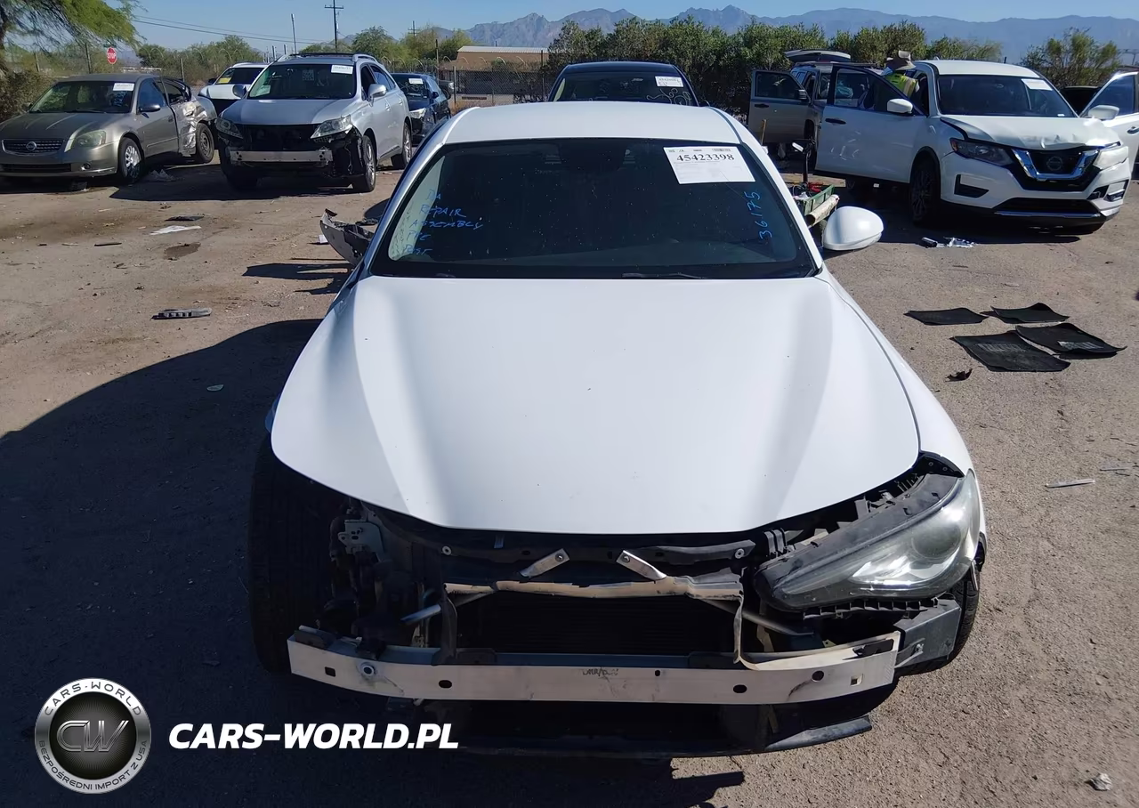 2017 Alfa Romeo Giulia Rwd VIN:ZARFAEBN6H7553869 - 12