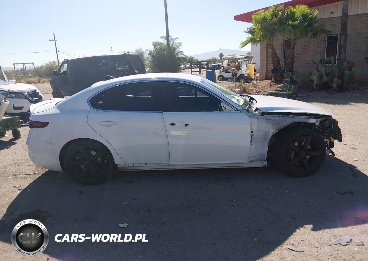 2017 Alfa Romeo Giulia Rwd VIN:ZARFAEBN6H7553869 - 13