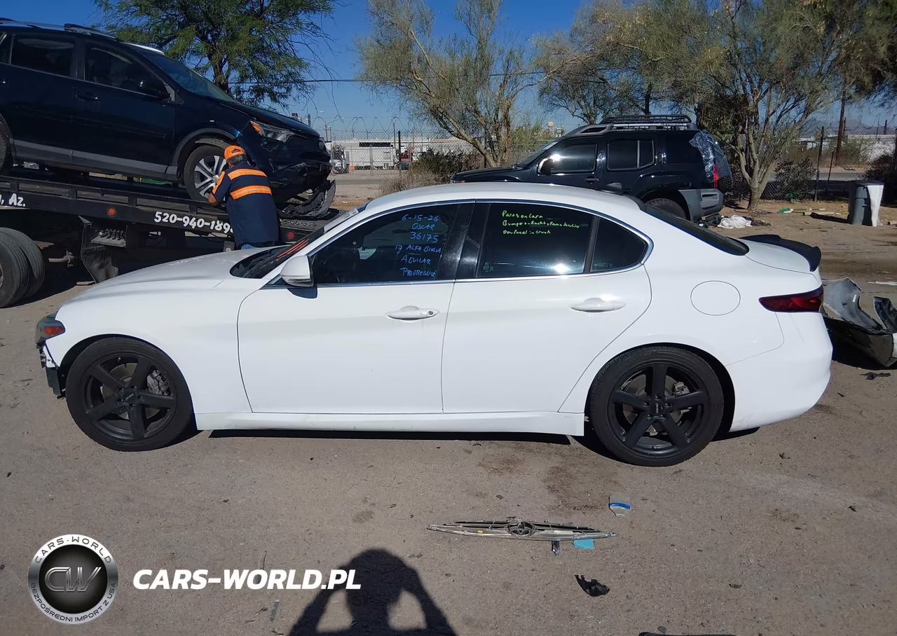 2017 Alfa Romeo Giulia Rwd VIN:ZARFAEBN6H7553869 - 14