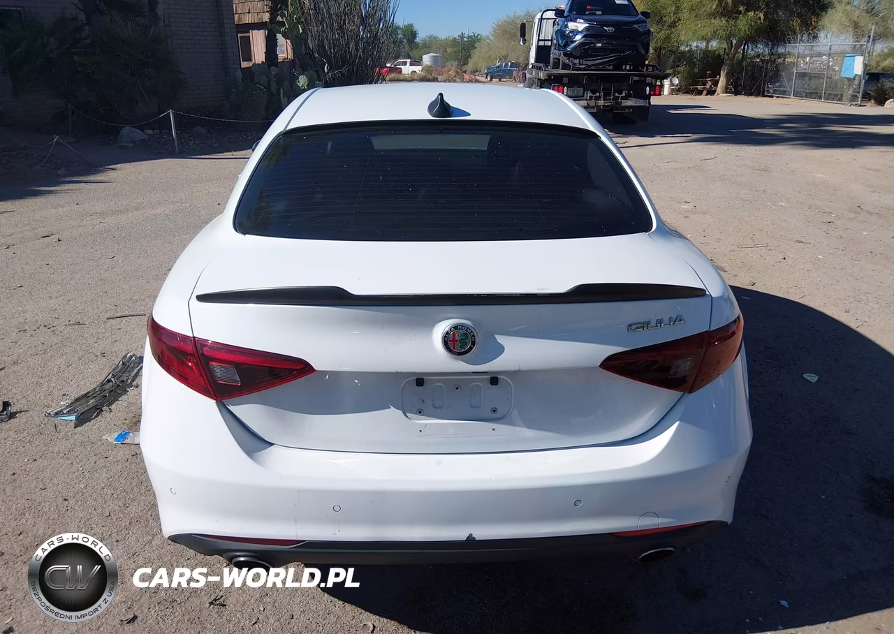 2017 Alfa Romeo Giulia Rwd VIN:ZARFAEBN6H7553869 - 16