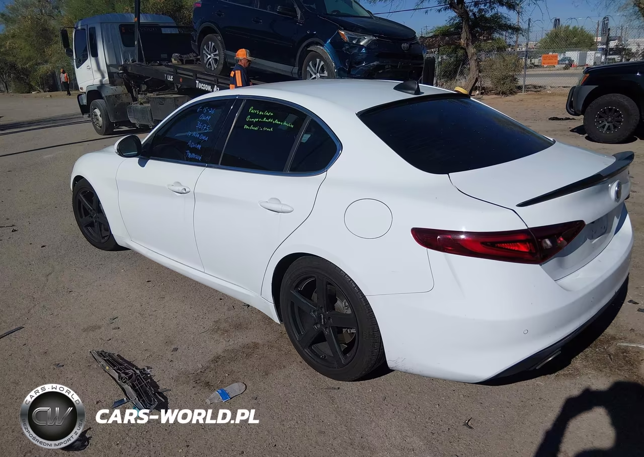 2017 Alfa Romeo Giulia Rwd VIN:ZARFAEBN6H7553869 - 3