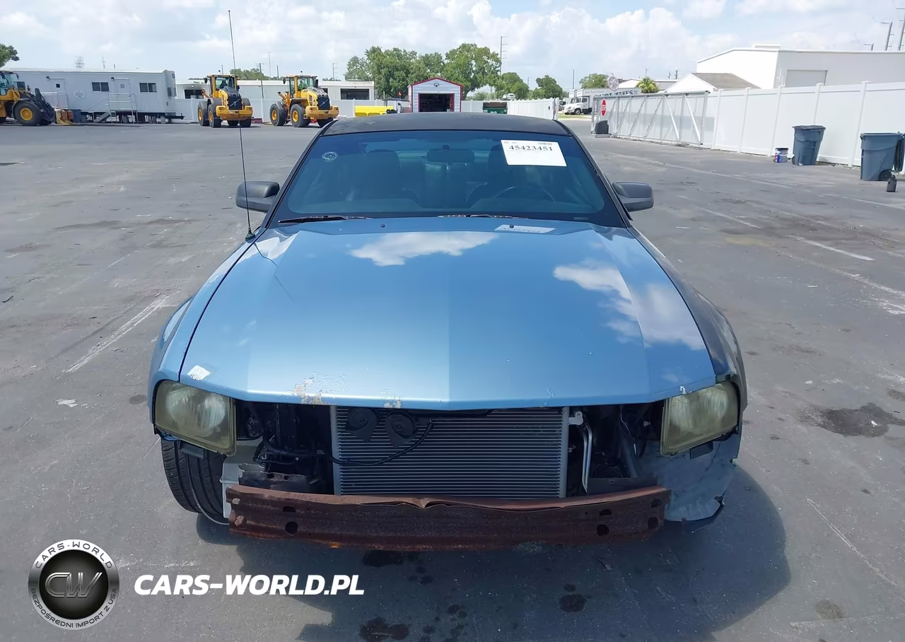 2007 Ford Mustang Gt Deluxe-Gt Premium VIN:1ZVFT82H675229747 - 12