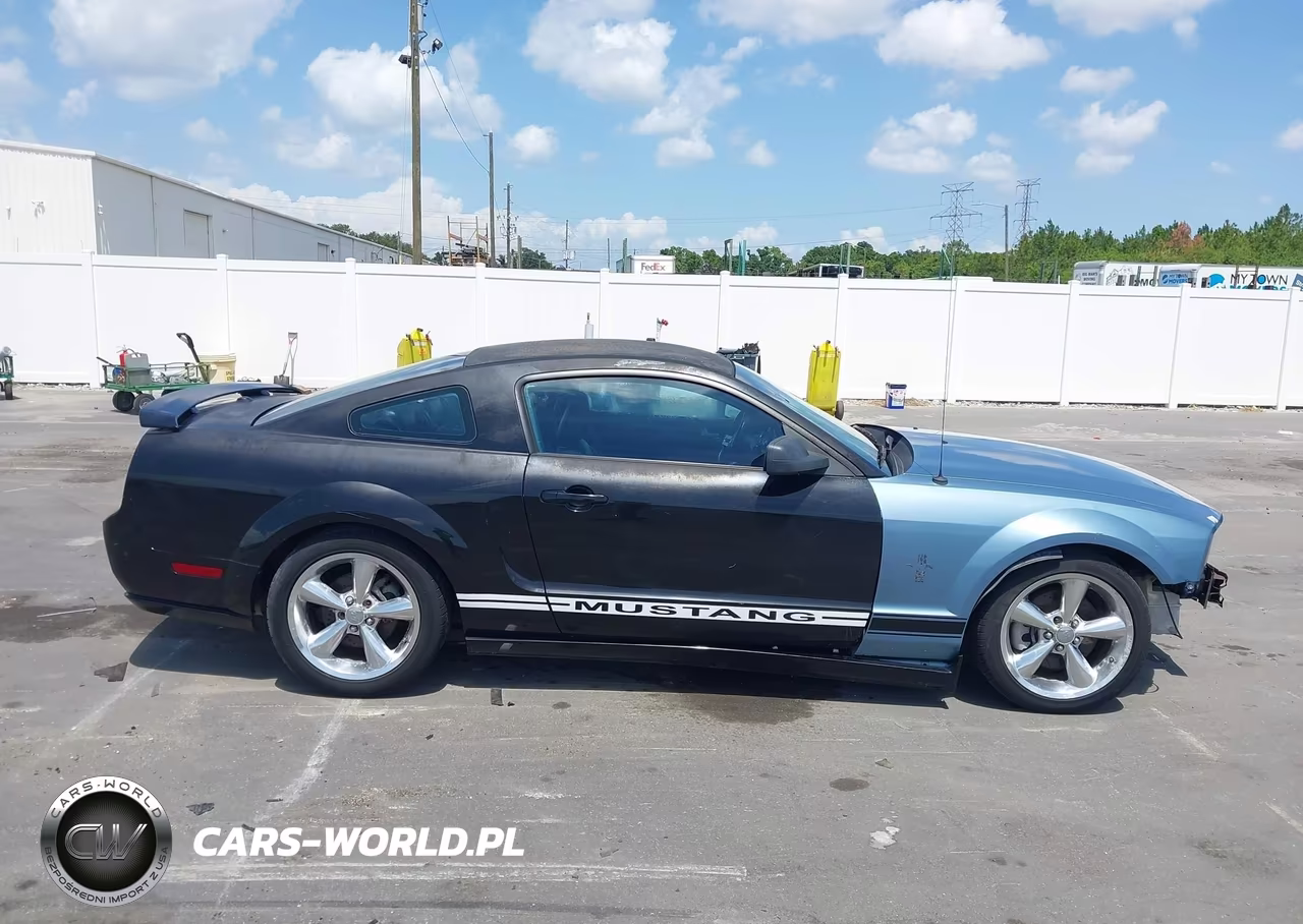2007 Ford Mustang Gt Deluxe-Gt Premium VIN:1ZVFT82H675229747 - 13