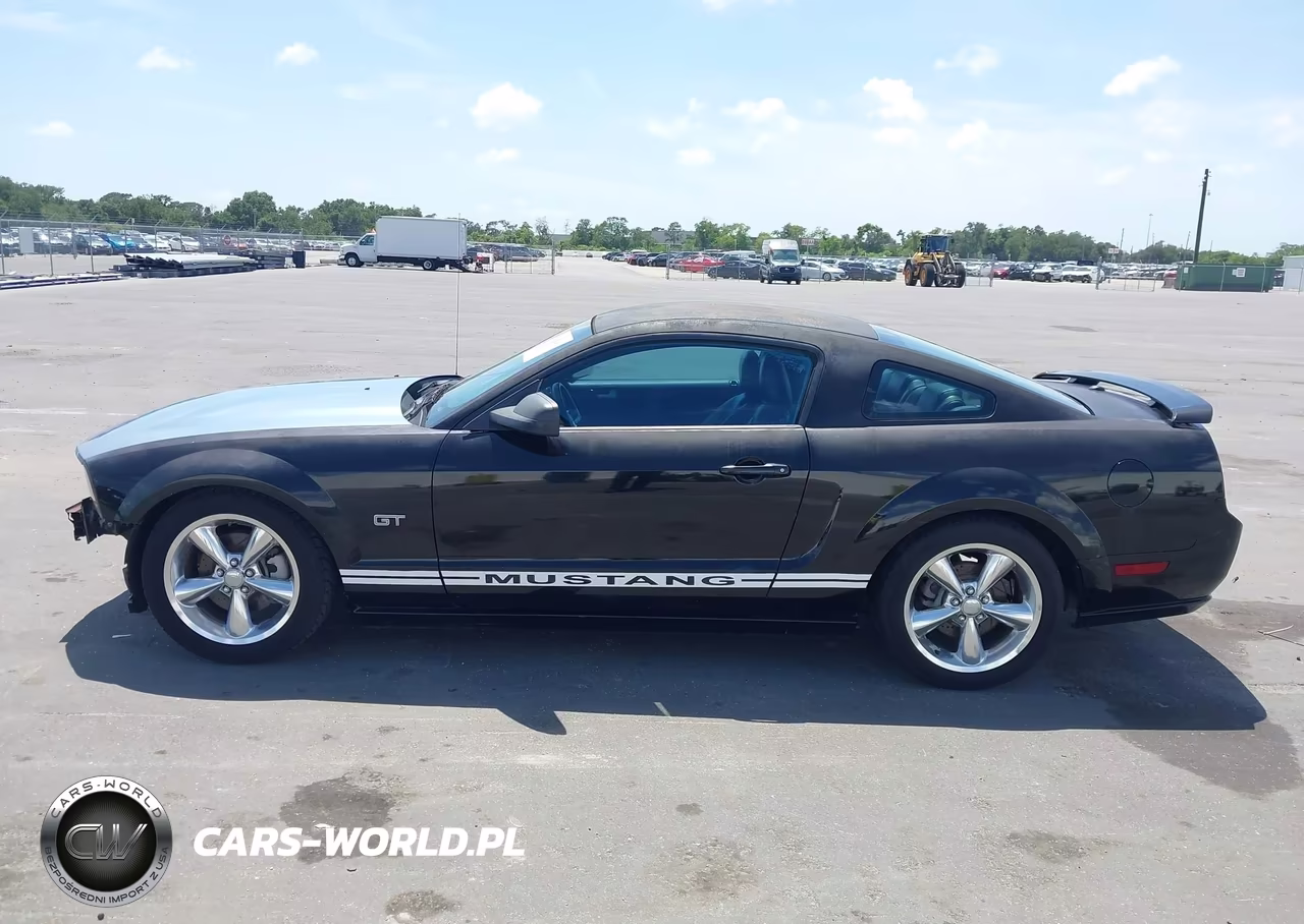 2007 Ford Mustang Gt Deluxe-Gt Premium VIN:1ZVFT82H675229747 - 14