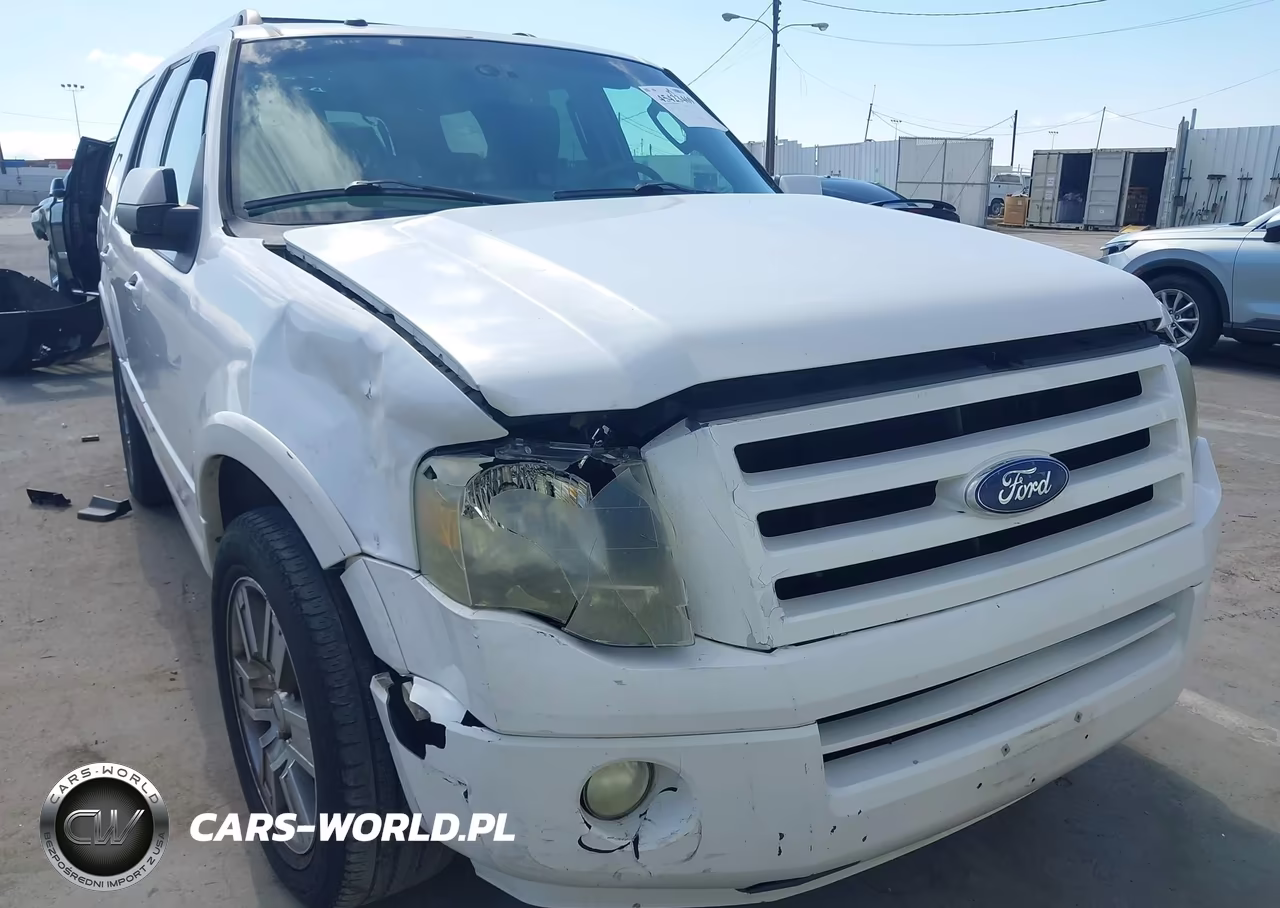 2010 Ford Expedition Limited VIN:1FMJU1K59AEB60305 - 6