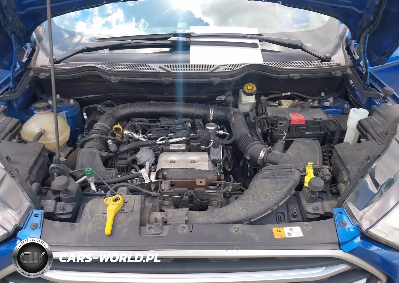 2018 Ford Ecosport Se VIN:MAJ3P1TE8JC228016 - 10