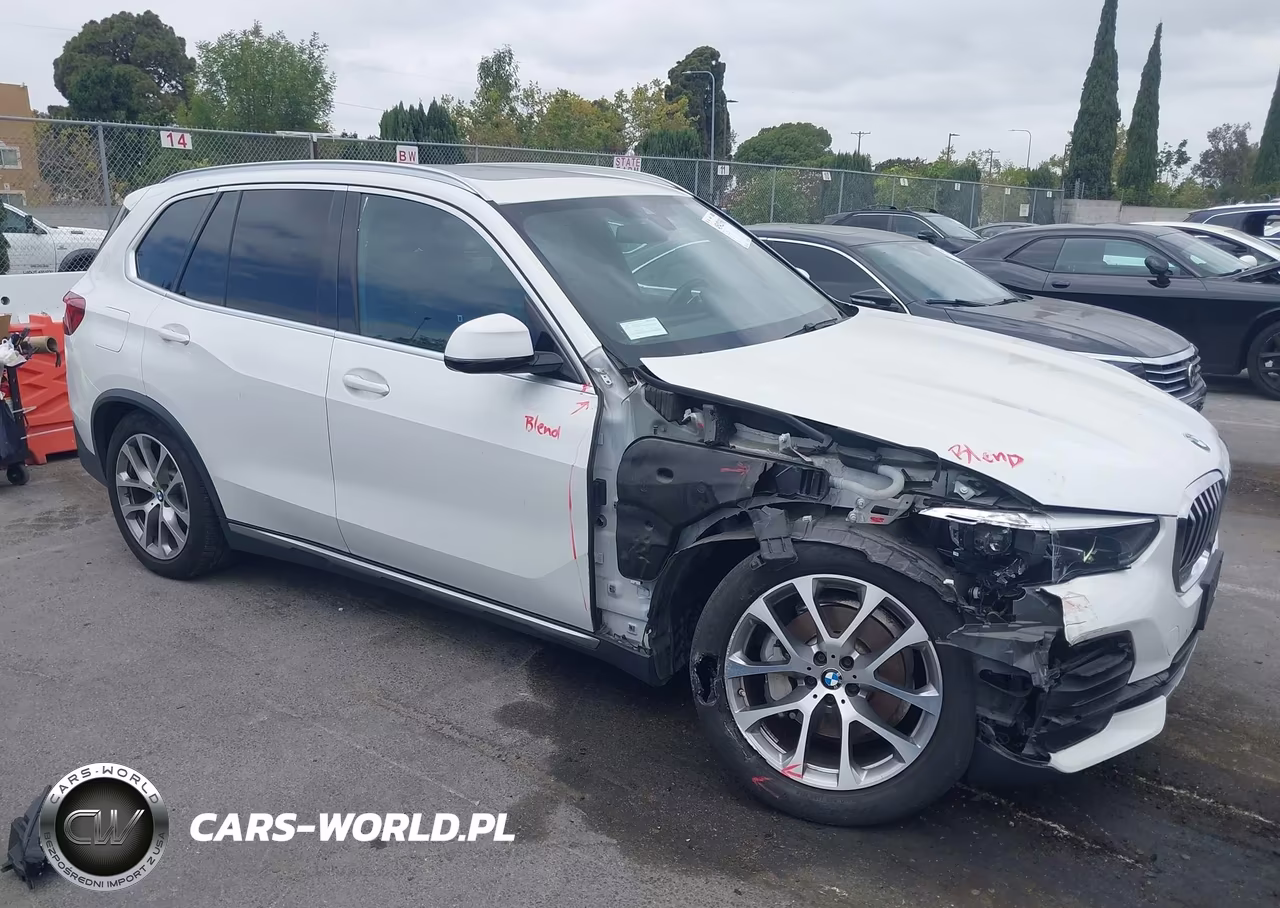 2019 BMW X5 xDrive40I – zdjęcie 1 z 17