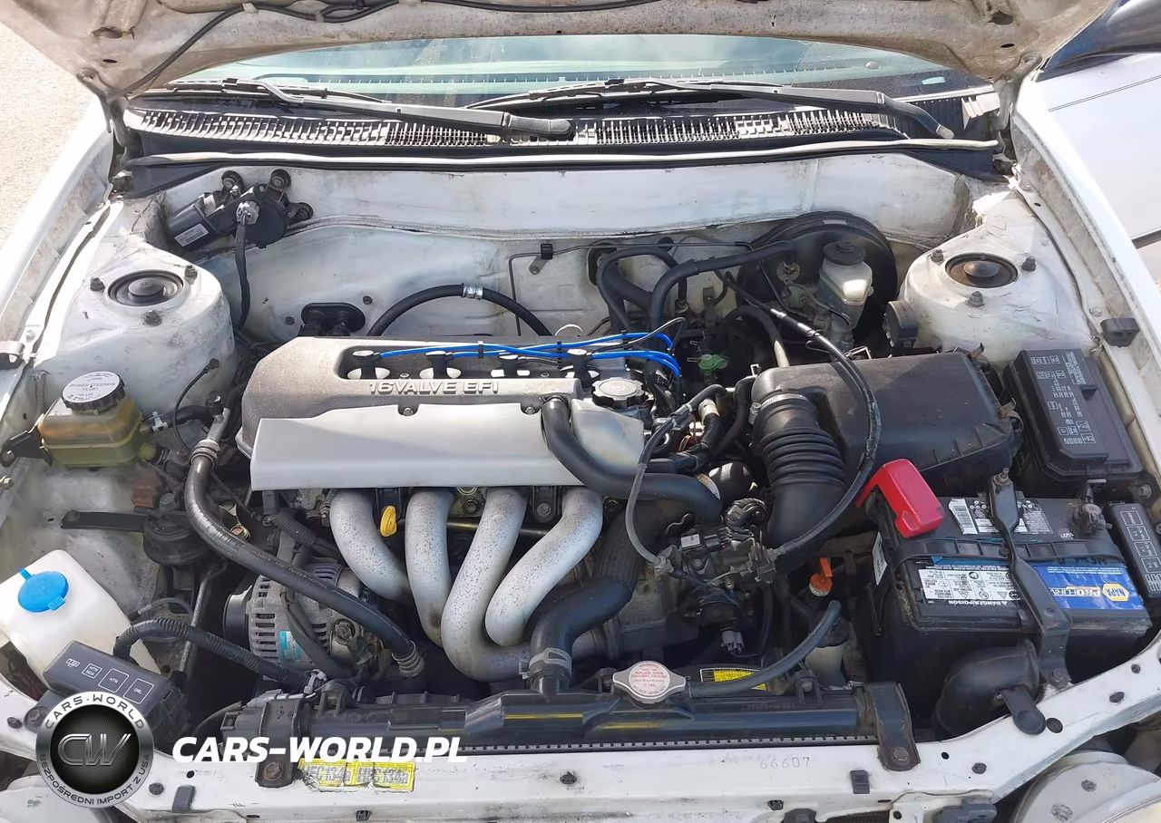 1999 Toyota Corolla Ve VIN:1NXBR12E7XZ263579 - 10