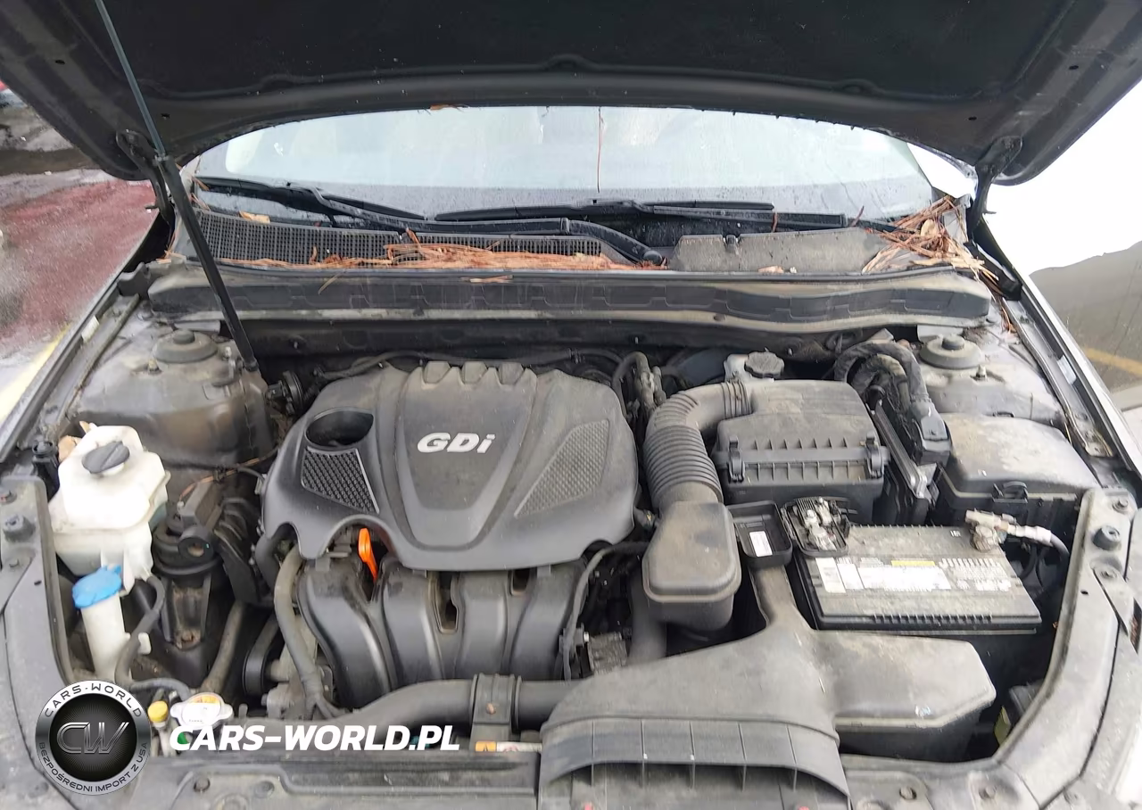 2013 Kia Optima Ex VIN:5XXGN4A79DG215786 - 10