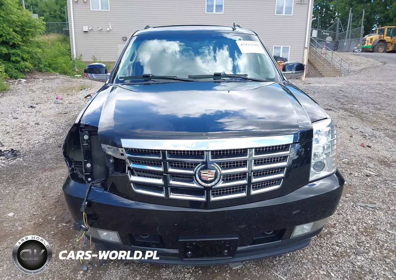 2014 Cadillac Escalade Esv Luxury VIN:1GYS4HEFXER151904 - 12