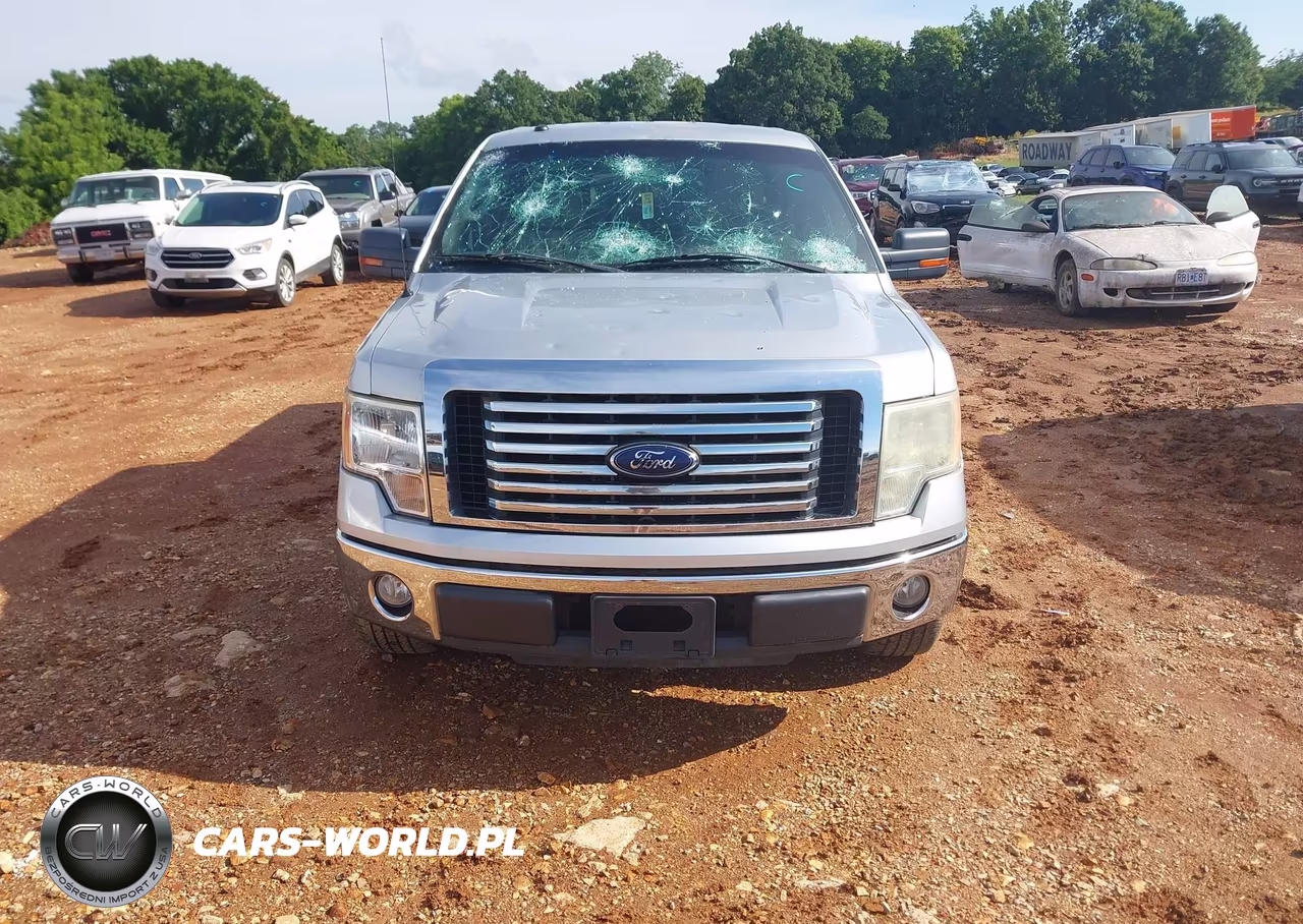 2010 Ford F-150 Fx2 Sport-Xl-Xlt VIN:1FTEW1C81AFB39659 - 12