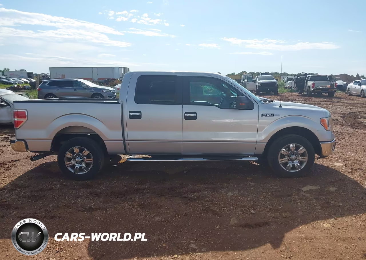 2010 Ford F-150 Fx2 Sport-Xl-Xlt VIN:1FTEW1C81AFB39659 - 13