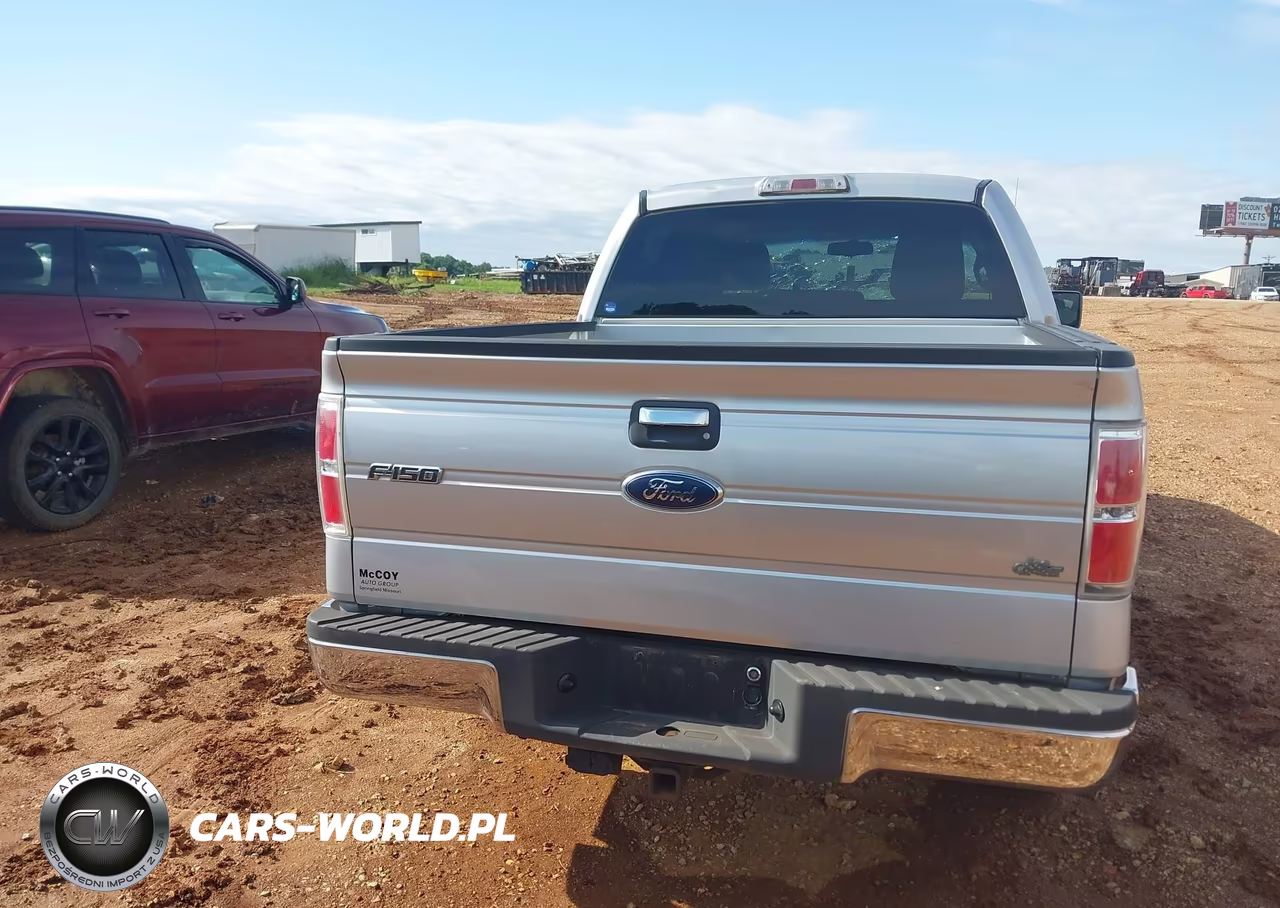 2010 Ford F-150 Fx2 Sport-Xl-Xlt VIN:1FTEW1C81AFB39659 - 15