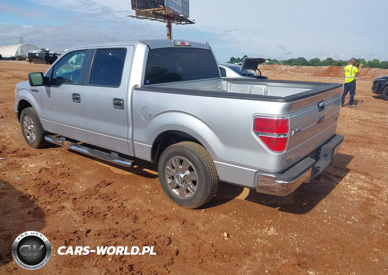 2010 Ford F-150 Fx2 Sport-Xl-Xlt VIN:1FTEW1C81AFB39659 - 3