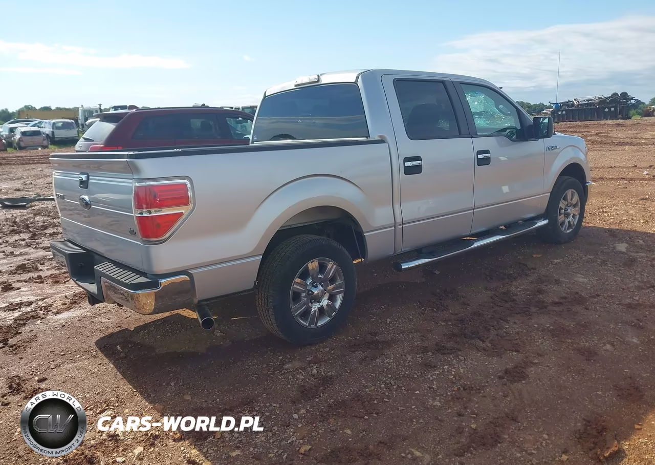 2010 Ford F-150 Fx2 Sport-Xl-Xlt VIN:1FTEW1C81AFB39659 - 4