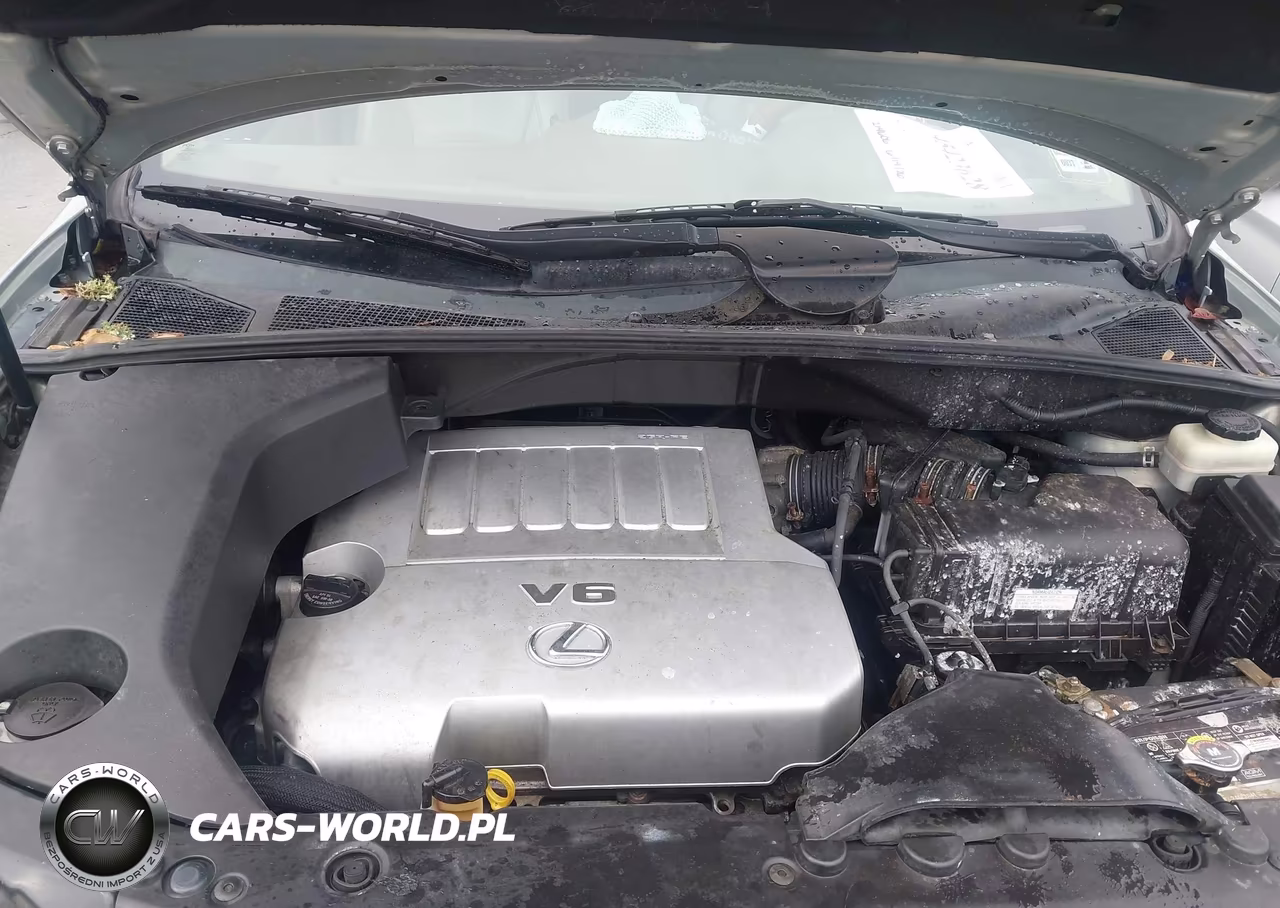 2009 Lexus Rx 350 VIN:2T2HK31U19C133669 - 10