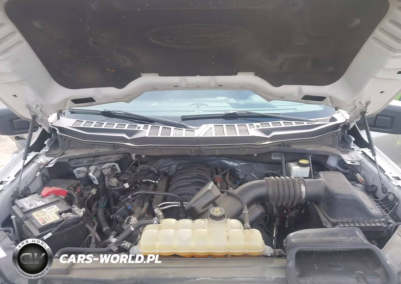 2021 Ford F-150 Lariat-Xl-Xlt VIN:1FTFX1E5XMFB79862 - 10