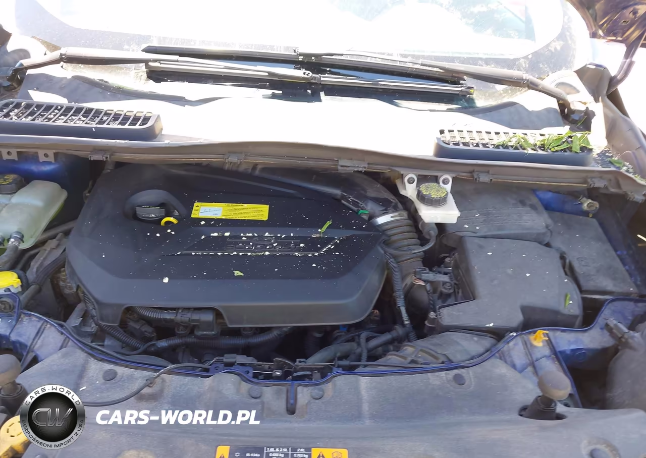 2013 Ford Escape Se VIN:1FMCU0GX6DUB25664 - 10