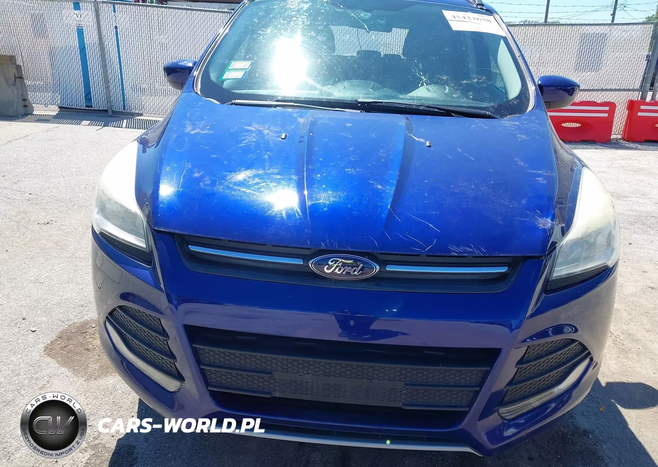 2013 Ford Escape Se VIN:1FMCU0GX6DUB25664 - 12