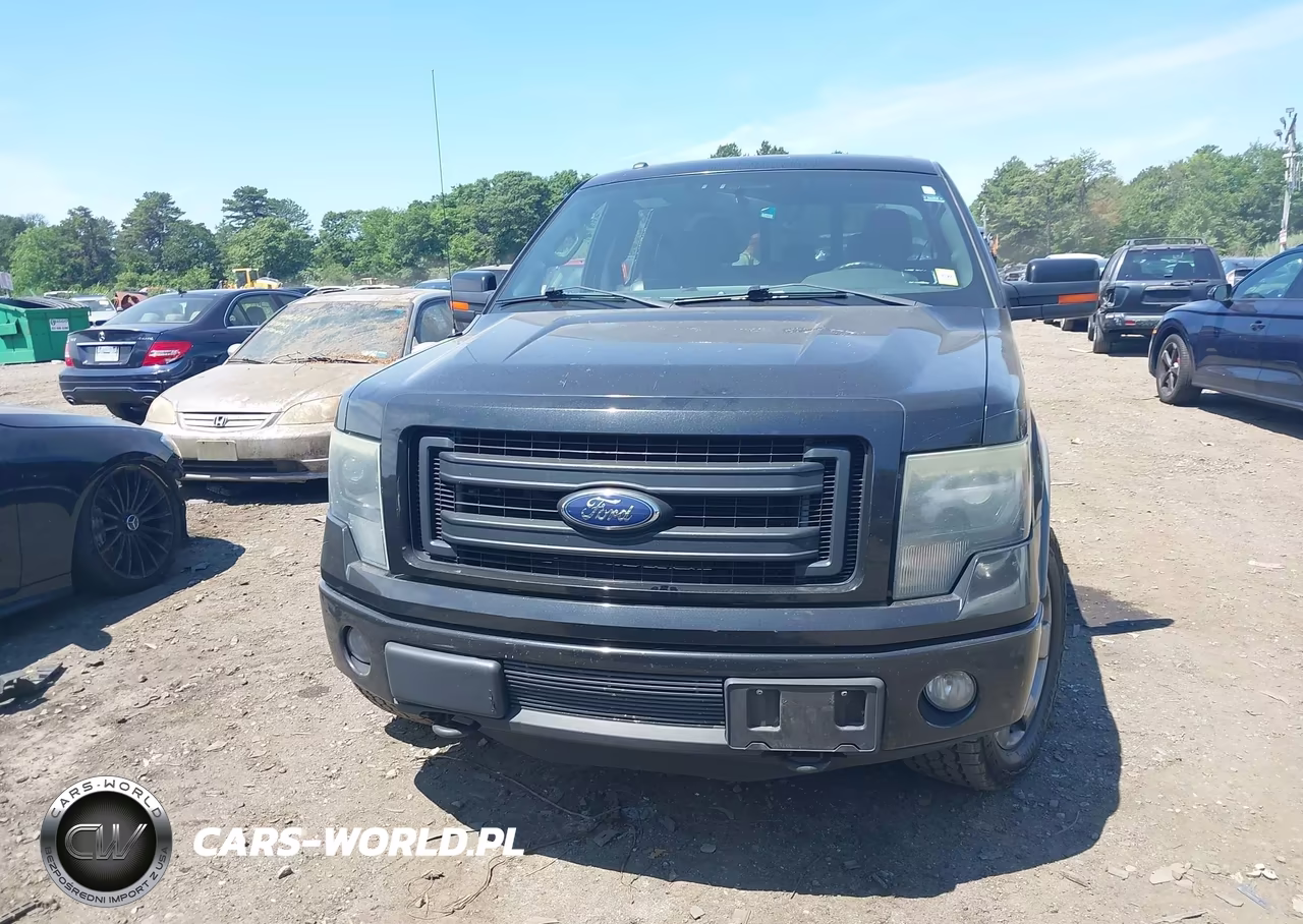 2013 Ford F-150 Fx4-King Ranch-Lariat-Limited-Platinum-Xl-Xlt VIN:1FTFW1ET7DKD97931 - 12