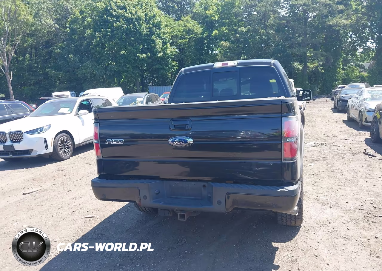 2013 Ford F-150 Fx4-King Ranch-Lariat-Limited-Platinum-Xl-Xlt VIN:1FTFW1ET7DKD97931 - 16