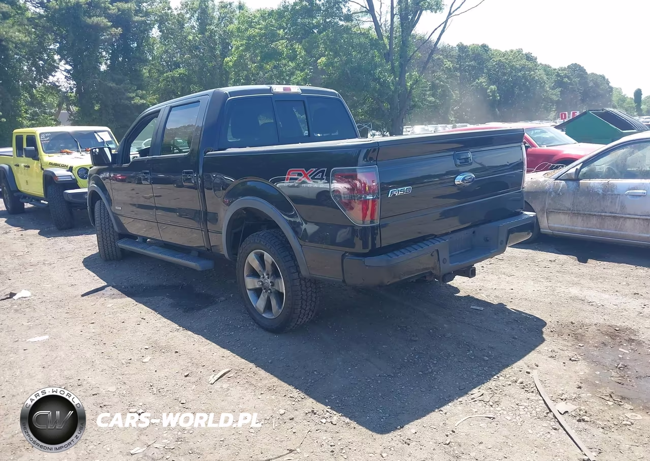2013 Ford F-150 Fx4-King Ranch-Lariat-Limited-Platinum-Xl-Xlt VIN:1FTFW1ET7DKD97931 - 3