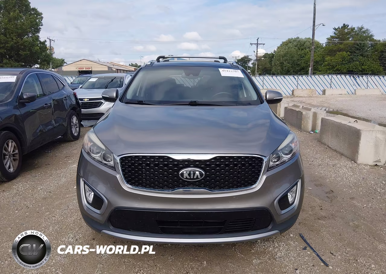2017 Kia Sorento 3.3L Ex VIN:5XYPH4A59HG318150 - 12