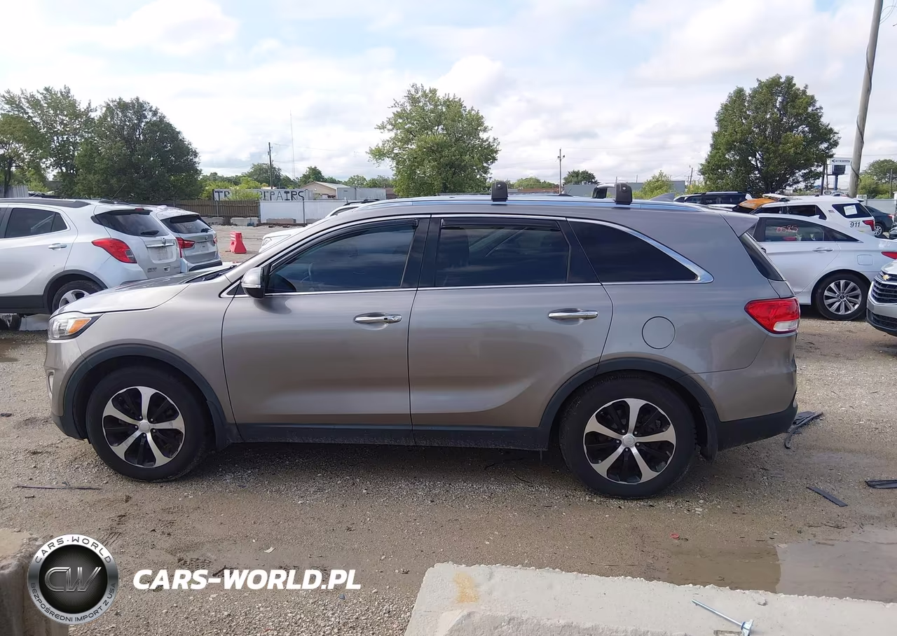 2017 Kia Sorento 3.3L Ex VIN:5XYPH4A59HG318150 - 14