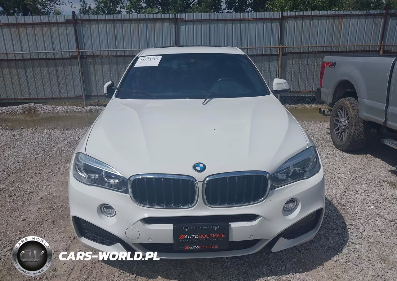 2018 BMW X6 Sdrive35I VIN:5UXKU0C5XJ0G92579 - 11