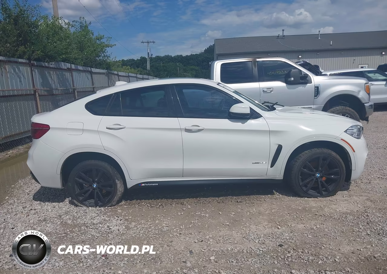 2018 BMW X6 Sdrive35I VIN:5UXKU0C5XJ0G92579 - 12
