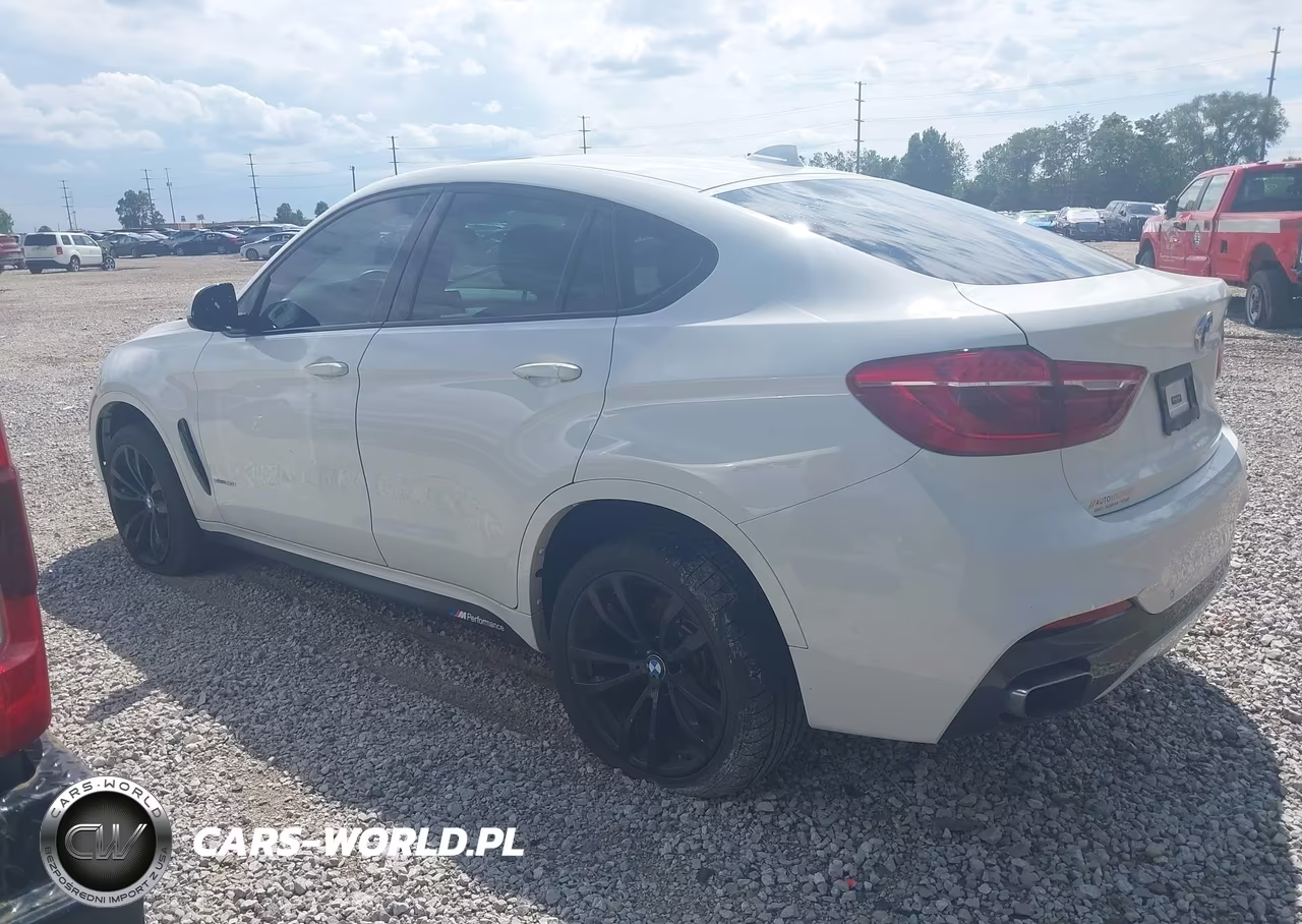 2018 BMW X6 Sdrive35I VIN:5UXKU0C5XJ0G92579 - 13