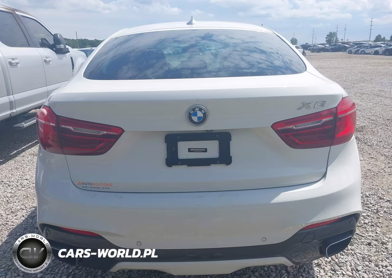 2018 BMW X6 Sdrive35I VIN:5UXKU0C5XJ0G92579 - 15