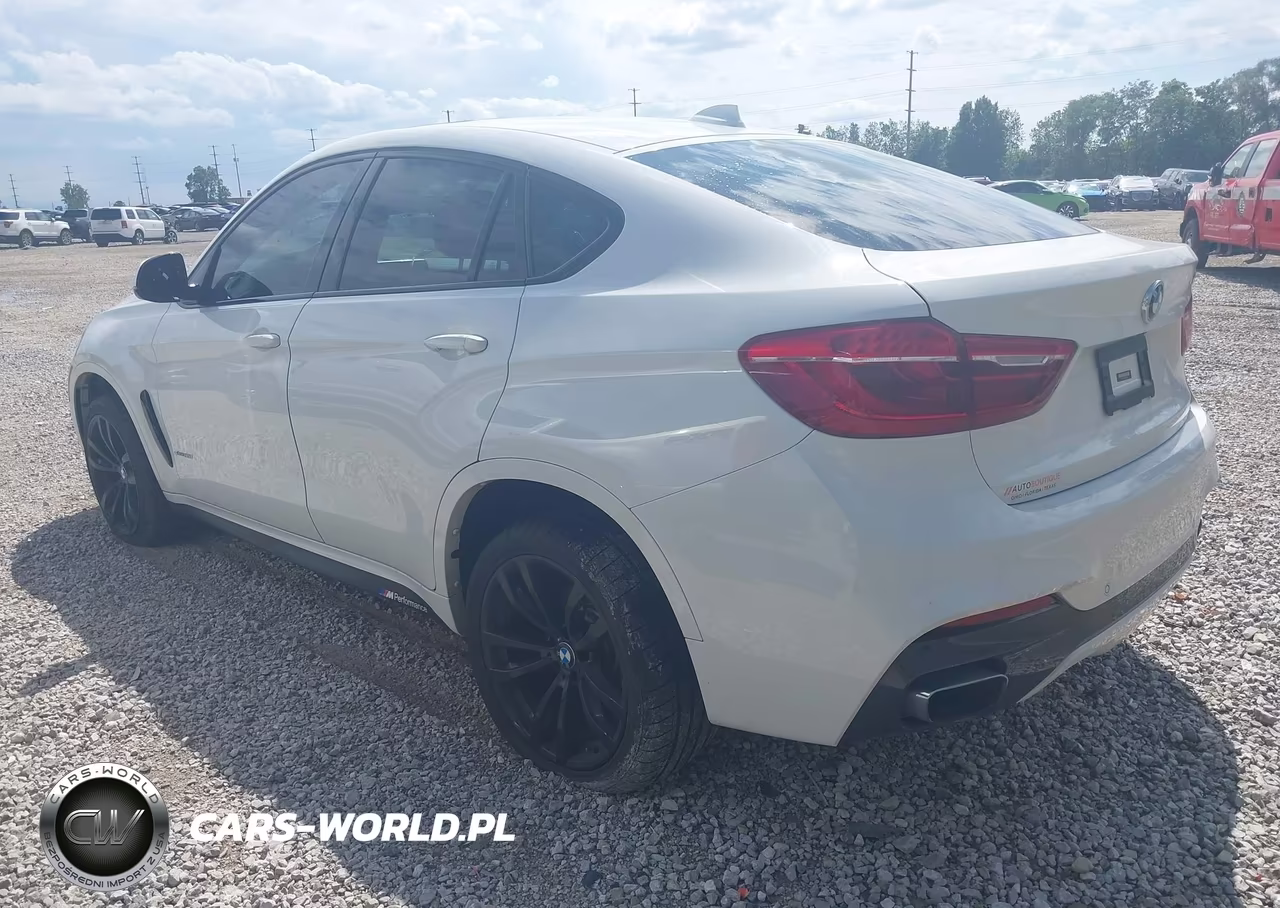 2018 BMW X6 Sdrive35I VIN:5UXKU0C5XJ0G92579 - 3