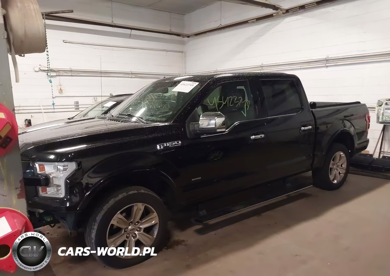 2016 Ford F-150 Platinum VIN:1FTEW1EG9GFD41632 - 2