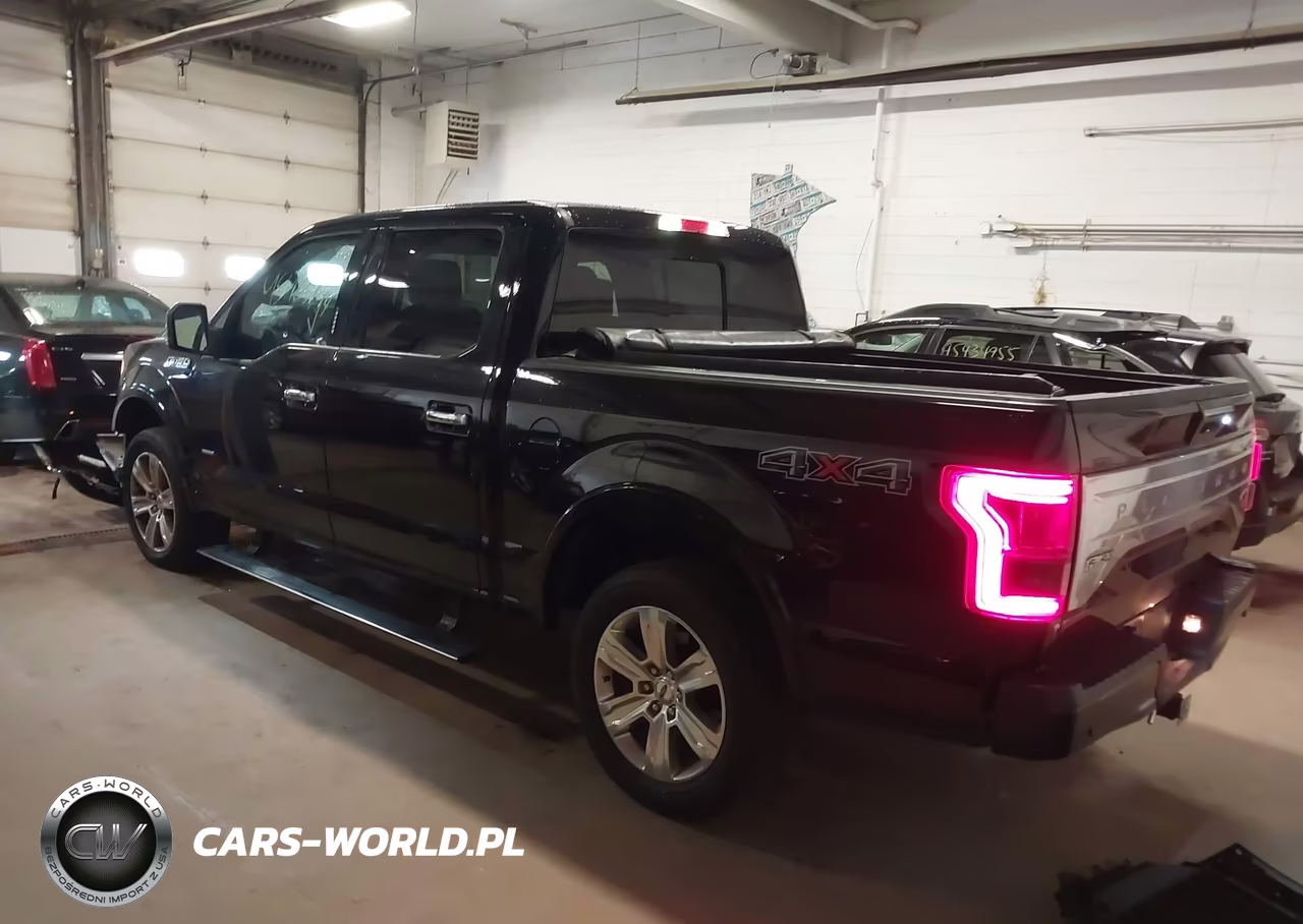 2016 Ford F-150 Platinum VIN:1FTEW1EG9GFD41632 - 3