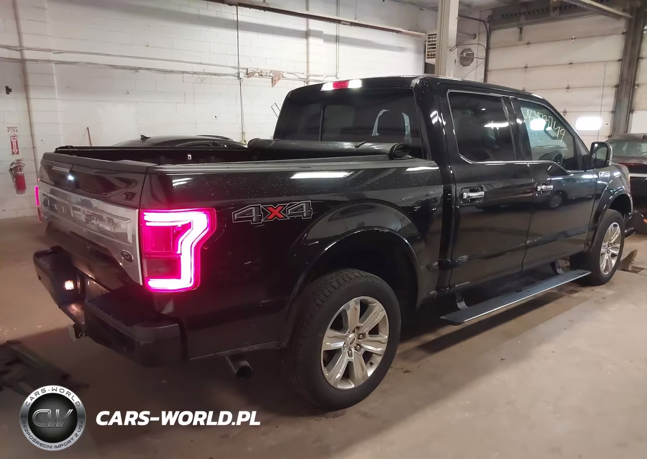 2016 Ford F-150 Platinum VIN:1FTEW1EG9GFD41632 - 4