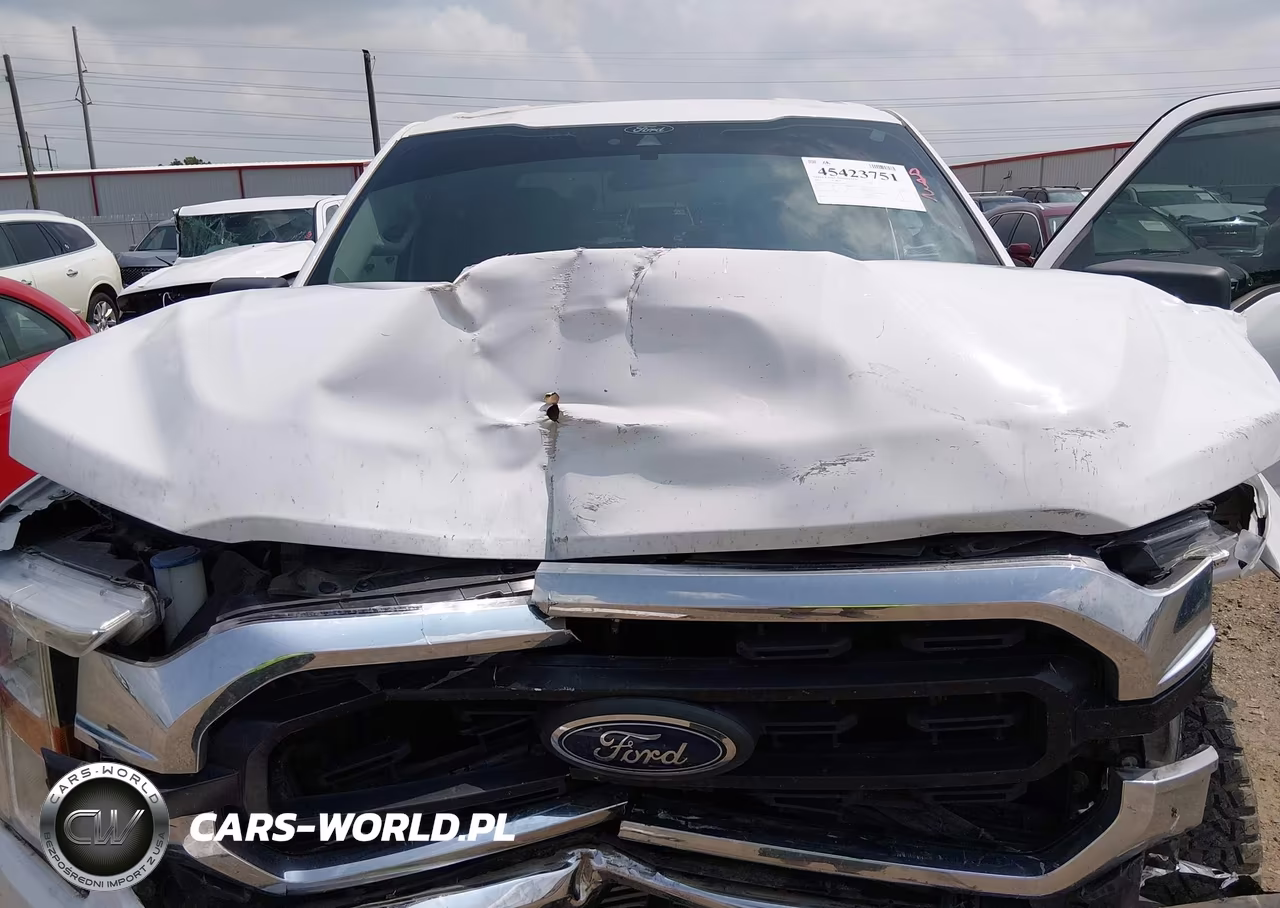 2021 Ford F-150 Xlt VIN:1FTEW1EP9MKE33293 - 10