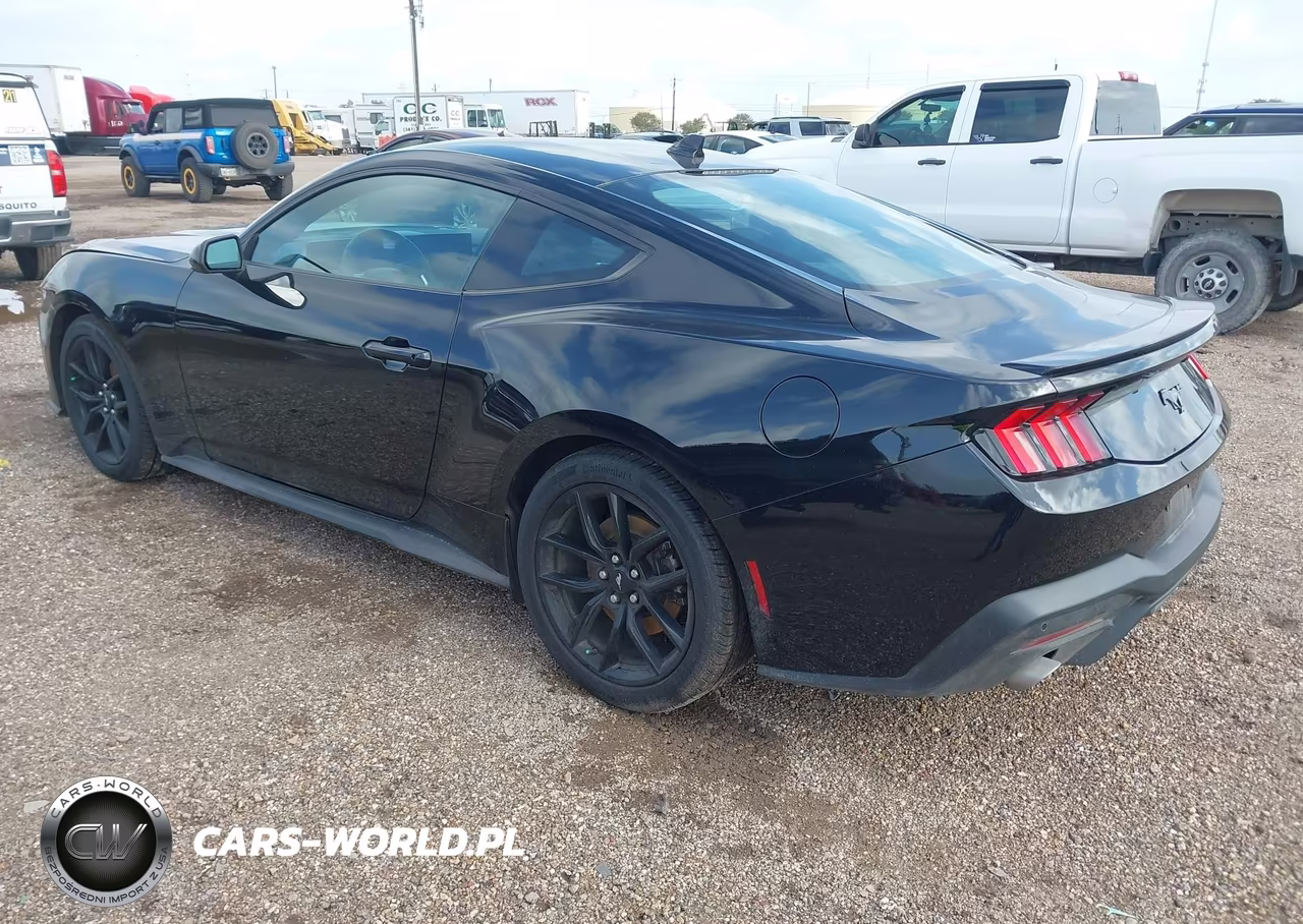 2025 Ford Mustang Ecoboost Fastback VIN:1FA6P8TH2S5119248 - 3