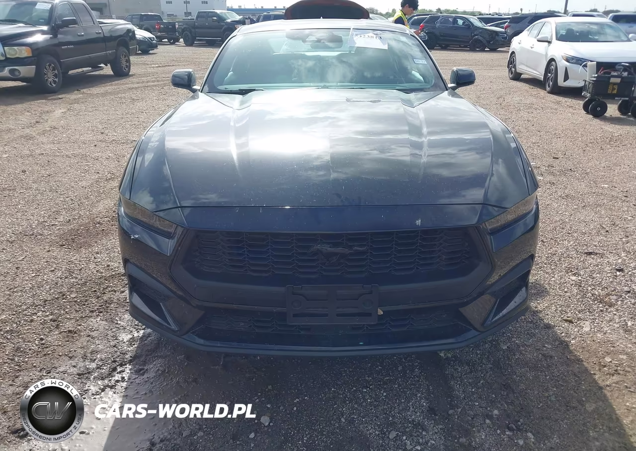 2025 Ford Mustang Ecoboost Fastback VIN:1FA6P8TH2S5119248 - 6
