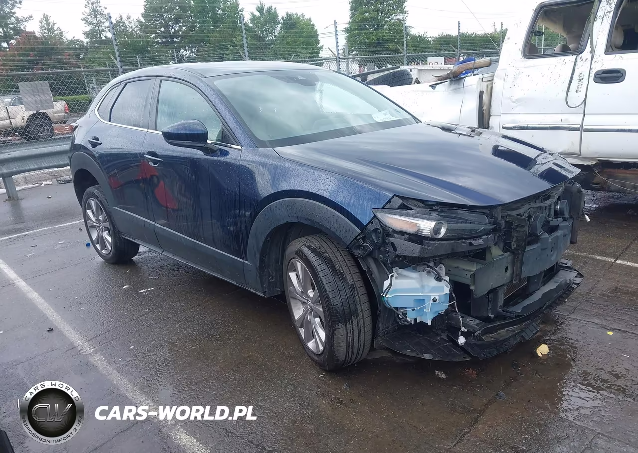 2020 Mazda Cx-30 Select Package VIN:3MVDMBCL3LM129535 - 13