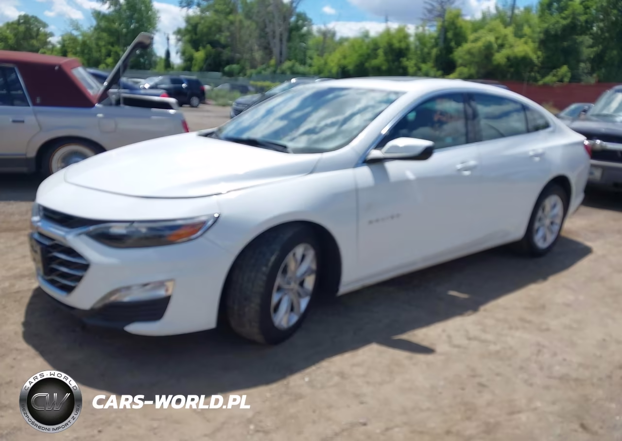 2023 Chevrolet Malibu Fwd 1Lt VIN:1G1ZD5ST8PF212841 - 2